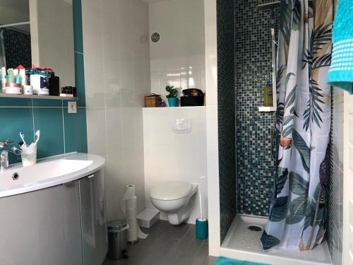 a bathroom with a toilet and a sink and a shower at Les Hauts du Tertre Notre Dame in Saint-Brieuc