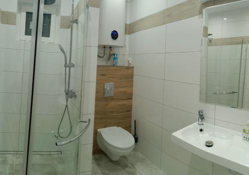 a bathroom with a shower and a toilet and a sink at Letnia Oaza "Akacja" in Sobienie Jeziory