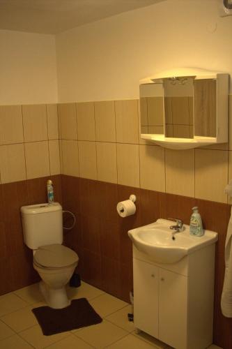 a bathroom with a toilet and a sink and a mirror at Privát Zuzana in Jablonec nad Jizerou