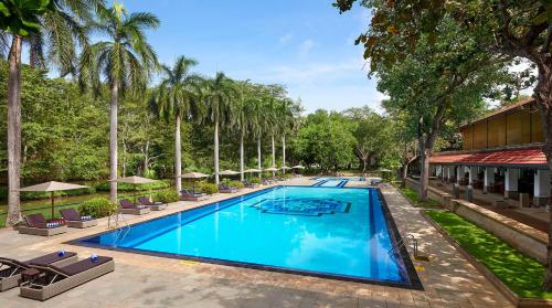a swimming pool with chairs and palm trees at Cinnamon Lodge Habarana in Sigiriya
