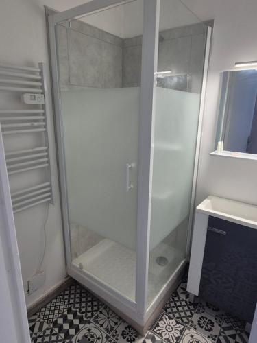 une douche avec une porte vitrée dans une salle de bain dans l'établissement Grand appartement Brest pour max 11 personnes, à Brest