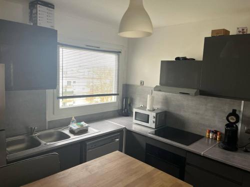 une cuisine avec un évier et un micro-ondes dans l'établissement Grand appartement Brest pour max 11 personnes, à Brest