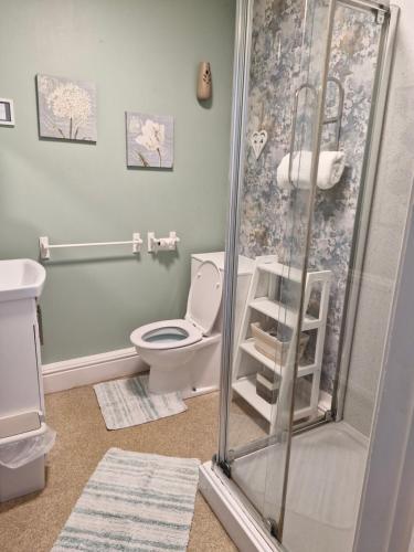 a bathroom with a toilet and a shower at Warwick Lodge in Carlisle
