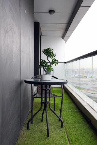 a table in a room with a potted plant on it at LUXURY 1BED MARINA VIEW JBR BEACH POoL PARKING in Dubai
