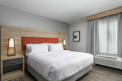 a hotel room with a large bed and a window at Candlewood Suites Chattanooga Hamilton Place by IHG in Chattanooga