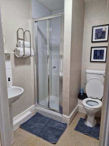 a bathroom with a shower and a toilet and a sink at Warwick Lodge in Carlisle