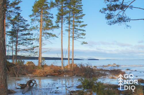 a painting of a beach with trees and water at The Red Fox Lodge in Tällberg