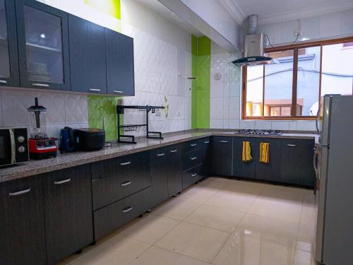 a kitchen with dark wood cabinets and green accents at Phaneros Apartments in Trofwi