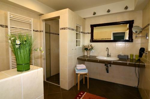 a bathroom with a sink and a mirror at Ferienhaus ,Anke' in Heiligenhafen