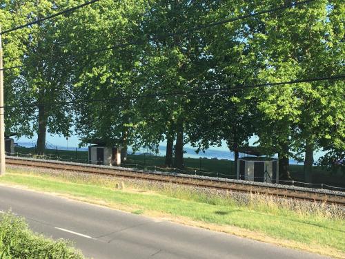 an empty road with trees on the side of a street at Kertből a Balatonra in Révfülöp