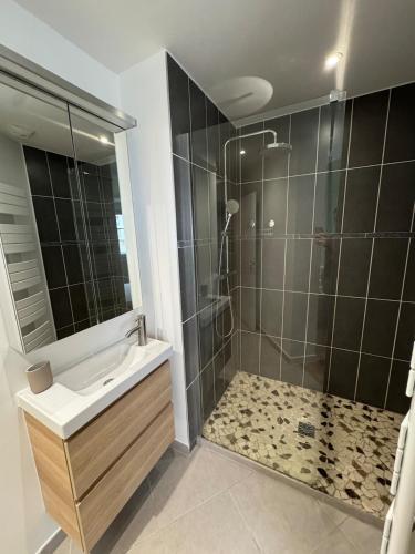une salle de bain avec une douche avec un lavabo et une douche dans l'établissement L'alpin, coeur de grenoble, à Grenoble