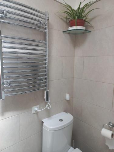 a bathroom with a toilet and a plant on the wall at Magnífica casa con cochera privada in Luján