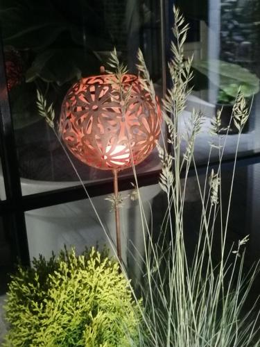 a red pomegranate on display in a window at Gîte Libre’Air in Redu