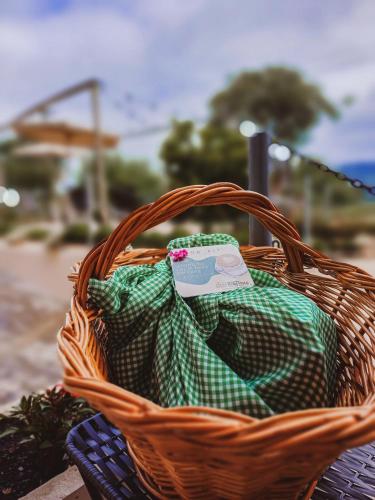 una cesta sentada en la parte superior de un banco en Pousada Bella Vista - no coração do Vale dos Vinhedos, en Bento Gonçalves