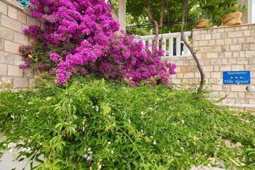 Κήπος έξω από το Apartments Hansal