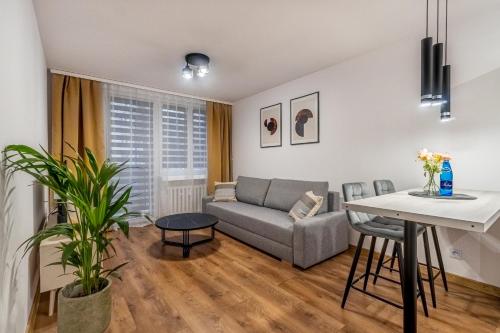 Apartament w centrum II, PW INVEST HOME