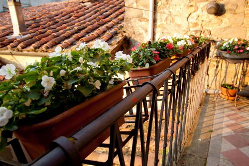 a row of flowerpots on a balcony with flowers at B&B Canto Alla Porta Vecchia in Pistoia