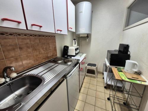 une petite cuisine avec un évier et un micro-ondes dans l'établissement Residence L'alize - Vacances au Bord du lac, plaisant studio ! MAE-6714, à Aix-les-Bains