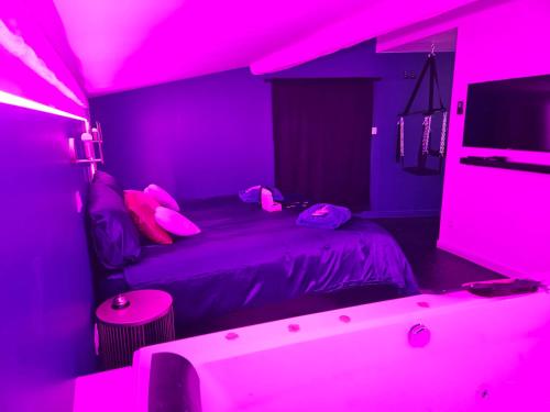 a purple room with a bed and a tub at Le Palais Secret 66 Loveroom in Saint-Féliu-dʼAvall