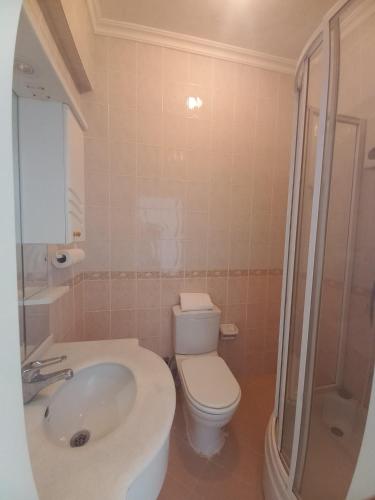 a bathroom with a toilet and a sink and a shower at Gökçen Çiftliği Pansiyon in Eceabat