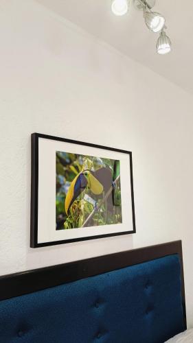 Gambar di galeri bagi Hotel Palmas Teotihuacán di San Juan Teotihuacán