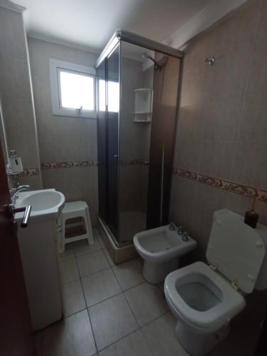 a bathroom with a toilet and a shower and a sink at Depto España Mdq in Mar del Plata