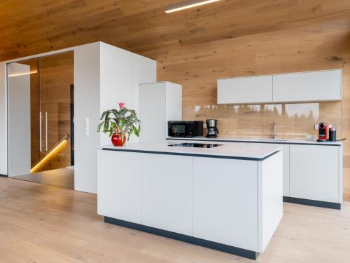 a kitchen with white cabinets and a wooden ceiling at Lakan Lodge in Auberg