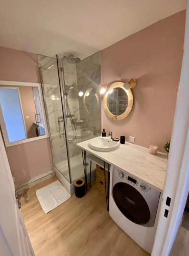 une salle de bain avec un lavabo et une douche dans l'établissement T2 Vue Mer à Cannes, à Cannes
