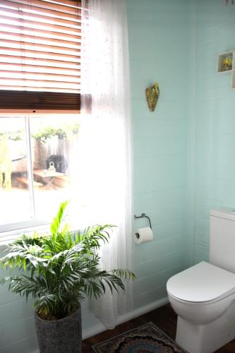 a bathroom with a toilet and a window with a plant at Sherwood Park in Spring Terrace