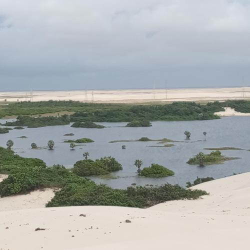 a body of water with green plants in the sand at Pousada Brisa das Dunas in Paulino Neves