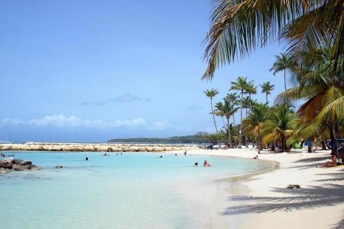 einen Strand mit Menschen im Wasser und Palmen in der Unterkunft Studio 104 - Centre ville et plage de Sainte-Anne in Sainte-Anne