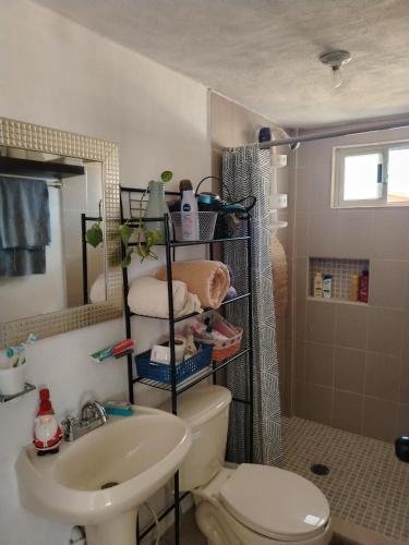 a bathroom with a toilet and a sink at Rancho de Solis in Arteaga