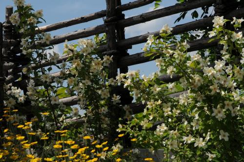 a wooden fence with white flowers on it at Sulamith Ferienhaus mit Garten in Sankt Kathrein am Offenegg