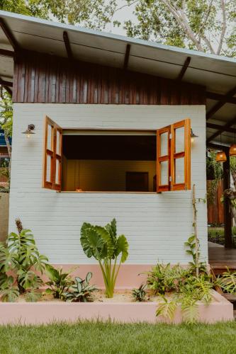 a small white building with windows and a plant at Recanto Alter do Chão in Alter do Chao