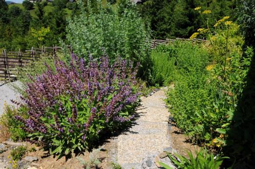 a garden with purple flowers and a fence at Sulamith Ferienhaus mit Garten in Sankt Kathrein am Offenegg