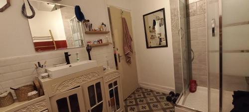 une salle de bain avec douche et lavabo dans l'établissement Gite la Muscadelle l Isle sur sorgue, à LʼIsle-sur-la-Sorgue