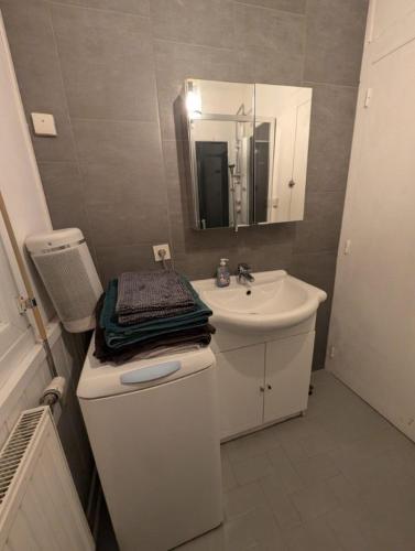 une salle de bain avec un lavabo, des toilettes et un miroir dans l'établissement Maison atypique avec un grand terrain !animaux bienvenus !wifi netflix écran plat 4k, à Les Forges
