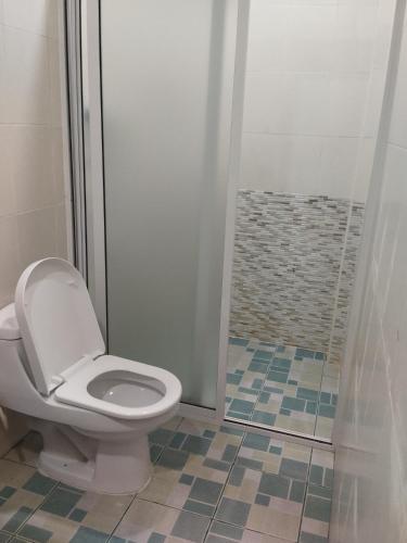 a bathroom with a toilet and a shower at Equatorial Inn in Feydhoo