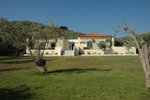 Gallery image of Gera's Olive Grove - Elaionas Lesvou in Perama