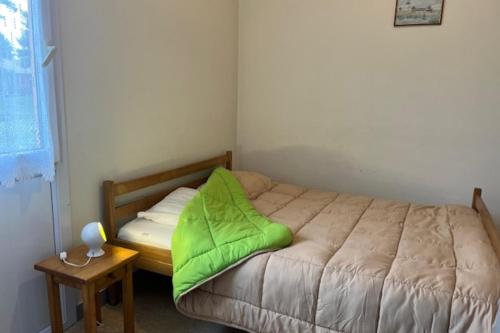 une chambre avec un lit avec une couverture verte dessus dans l'établissement 2 - Le Martin-Pêcheur - Village vacances, à Maché