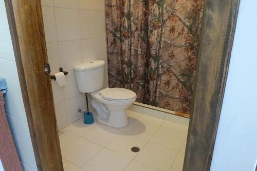a bathroom with a toilet and a shower curtain at Posada María E in Mucuchíes