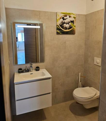 une salle de bain avec un lavabo, des toilettes et un miroir dans l'établissement Appartement cosy à Lucciana, 56 m², vue montagne, à Lucciana