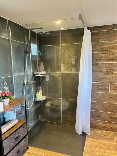 La salle de bains est pourvue d'une douche et d'un rideau de douche. dans l'établissement Joli logement proche du Mont Lozère, à La Vernarède