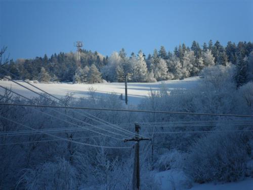 a snow covered field with trees and power lines at Pokoje gościnne Celina i Waldemar Szwala in Wierchomla Mała