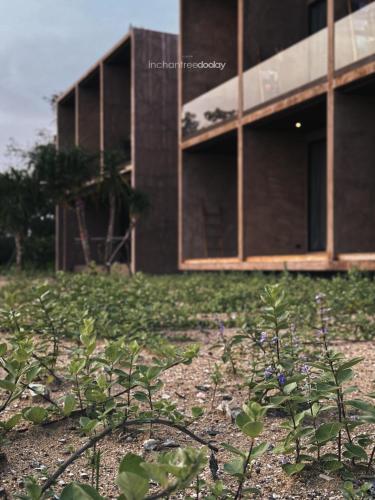a building with some plants in front of it at inchantreedoolay huahin in Pran Buri