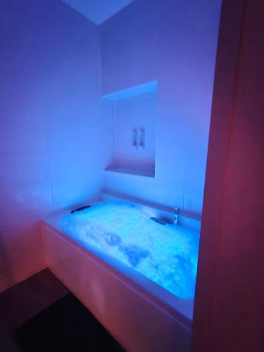 Fotografie z fotogalerie ubytování L'évasion Relax Châtel Guyon avec jacuzzi privé v destinaci Chatel-Guyon