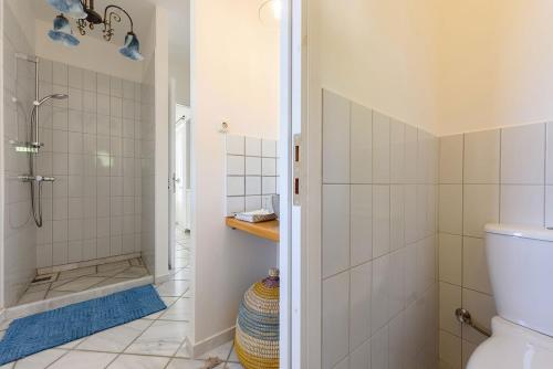 a bathroom with a shower and a toilet at Villa Padma, Agkeria Paros in Angairiá