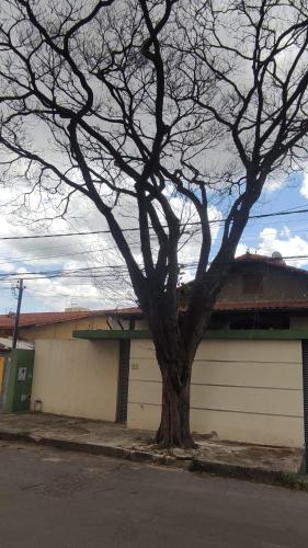 a tree sitting in front of a garage at Hostel Eldorado Contagem in Contagem