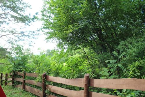 a wooden fence in front of some trees at Kuckózó Vendégház Mogyoróska in Mogyoróska
