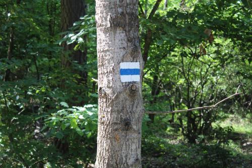 a blue and white stripe on the side of a tree at Kuckózó Vendégház Mogyoróska in Mogyoróska